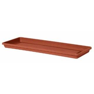 Jewel Plant Growing Tray: Office Products