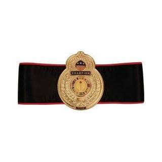  TITLE Gold Flash Title Belt