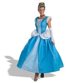   Character Costumes, LLC Womens Enchanting Princess Costume: Clothing