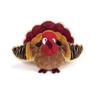  Webkinz HM418 Thanksgiving Turkey Plush Animal: Toys 
