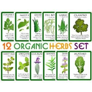 Assortment of 12 Culinary Herb Seeds   Grow Cooking Herbs  Parsley 