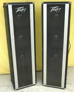 peavey 412 column