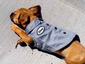 harley davidson dog sweater