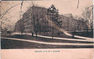 1912 Photo Postcard Harvard University Museum Cambridge