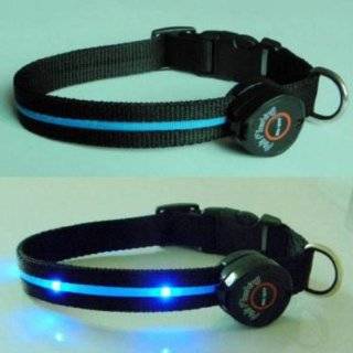Dog Collar with Blue LED Lights, Multi Function, Medium
